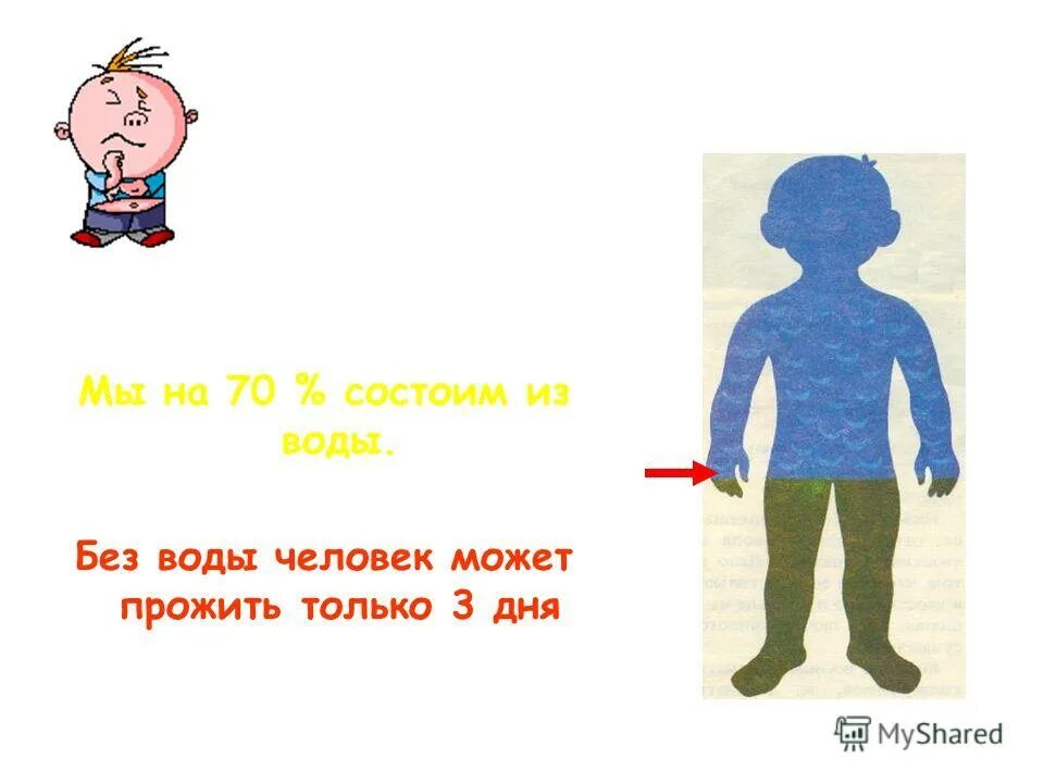 Сколько времени может прожить человек без воды