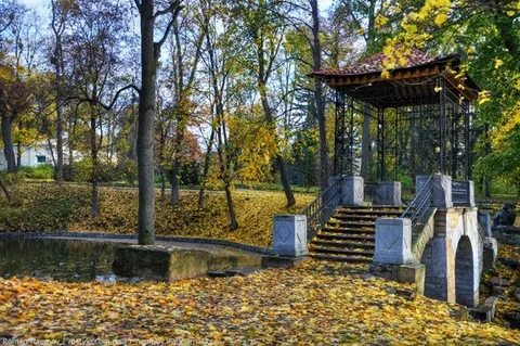 Дендропарк самарская область тольятти дендропарк
