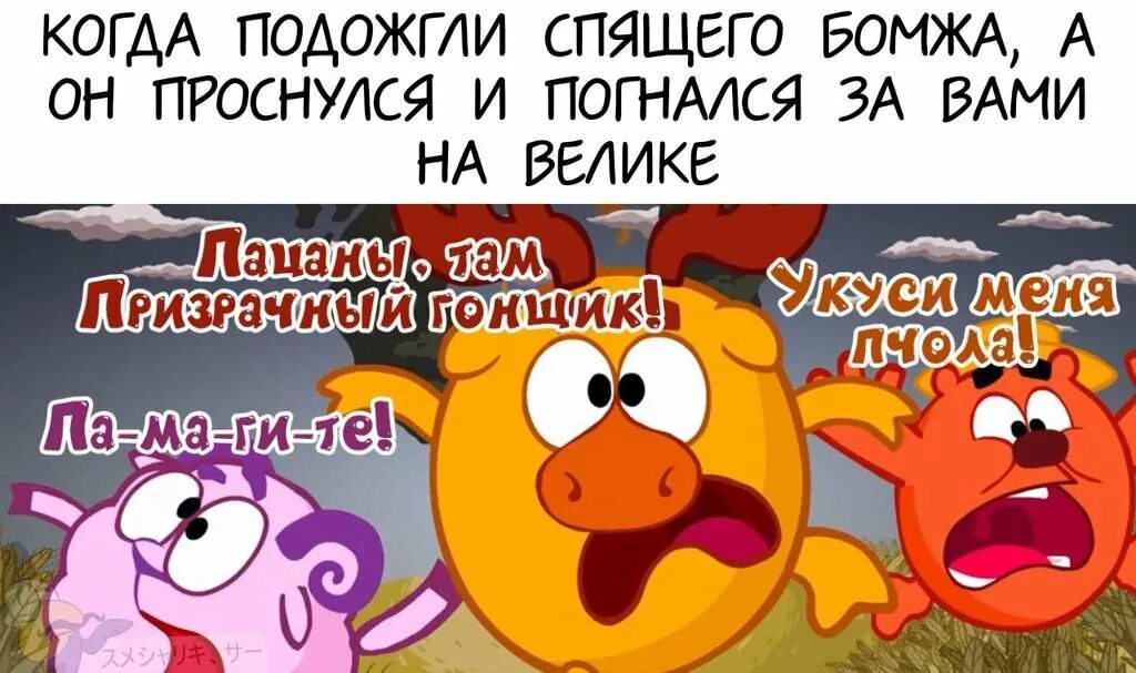 Мем смешариков смотришь. Мемы про смешариков. шутки про смешариков. смешарики мем. приколы про смешариков до слёз.