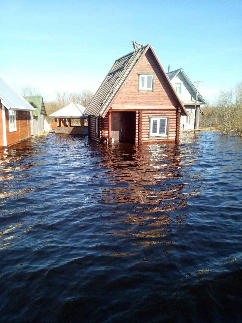 Погода озера воже. Озеро Воже. Оз Воже Вологодская область. Остров спас на озере Воже. Вожега озеро.