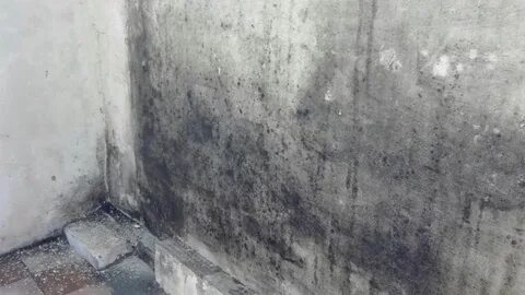 Темнеть в углу