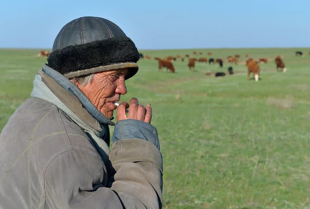 В степи живут люди. Чабаны Агинского округа в степи. Пастух Калмыкия. Чабаны в степи Калмыкии. Степи и человек.