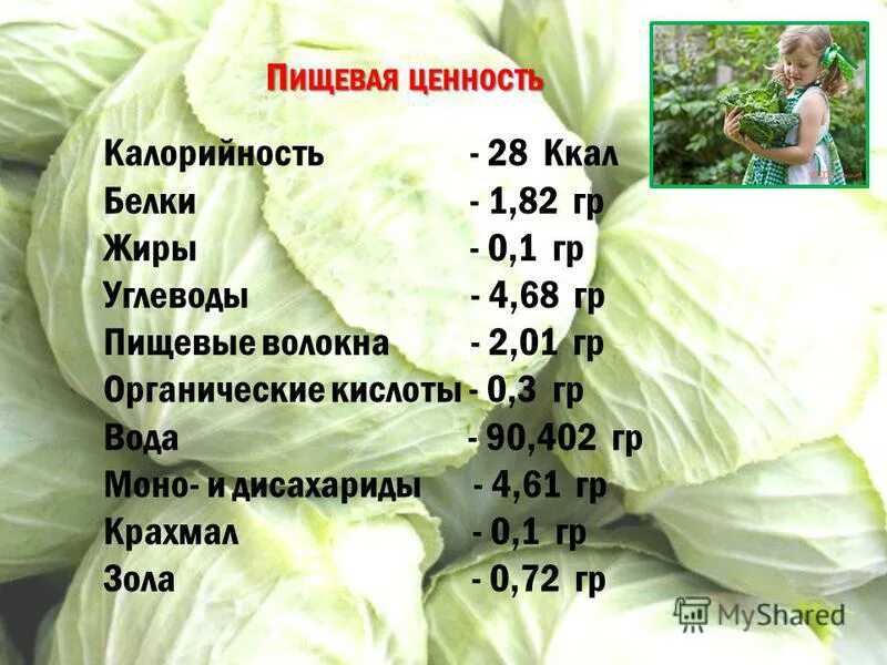 Сколько белков в салате. Пищевая ценность капусты белокочанной в 100 г. Калорийность капусты белокочанной свежей. Калории в капусте белокочанной. Капуста белокочанная БЖУ.