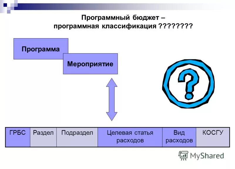 Программное бюджетирование. Программное бюджетирование