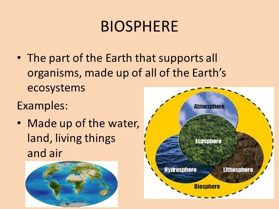 Boundaries of the biosphere. The circulation of substances in the biosphere. Biosphere structure. The term biosphere was coined. Human activity.