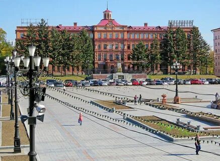 Муравьев амурский 3а