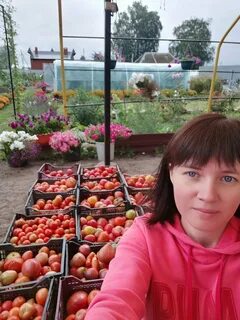 Огородник из рязани дзен последние