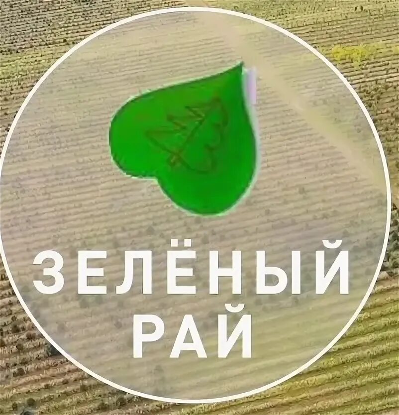 Зеленый рай каталог. Зеленый рай каталог. Логотип зеленый рай. Могилёв цветочная улица 23 питомник растений зеленый рай. Зеленый рай могилев работа.