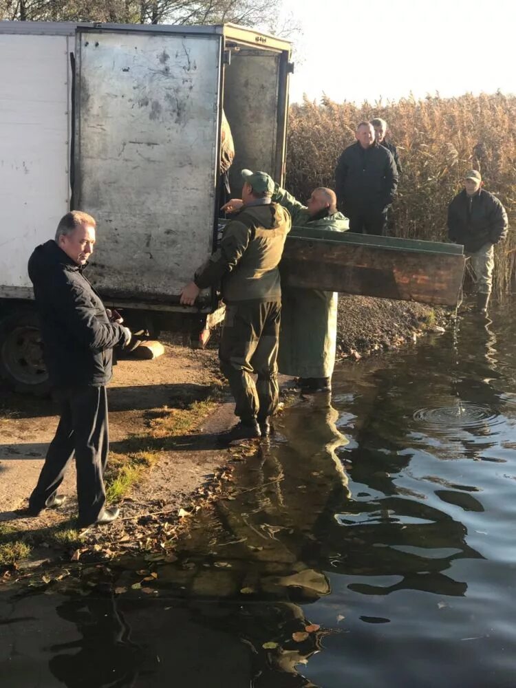 Погода в бытоши на неделю