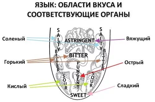 Какие соответствующие органы