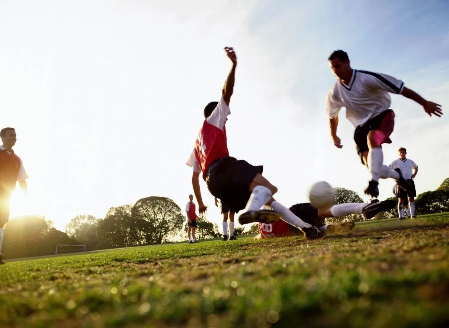 Командные виды спорта. Силовые упражнения для футболистов. Individual Sports. Individual competitive Sports.