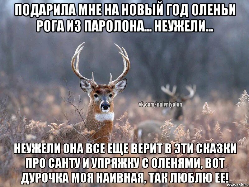 Он просто друг олень. Она сказала что он просто друг. Виновато небо виноваты звезды. Олень рогоносец. Мы друзья.