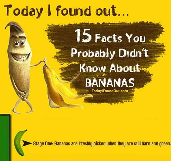 Facts about Banana. Interesting facts about Banana. Банан инфографика. Banana Nutrition facts.