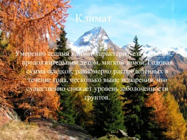 Климат. Предпринимательский климат. Мягкий климат это. Мягкий климат. Мягкий теплый климат.
