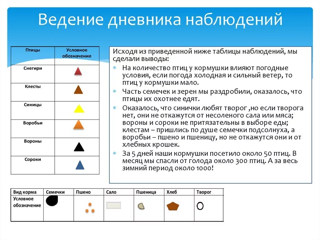 Ведение дневников наблюдений. Календарь наблюдений за птицами условные обозначения. Ведение дневника наблюдений. Дневник природных наблюдений. Дневник наблюдений символы.