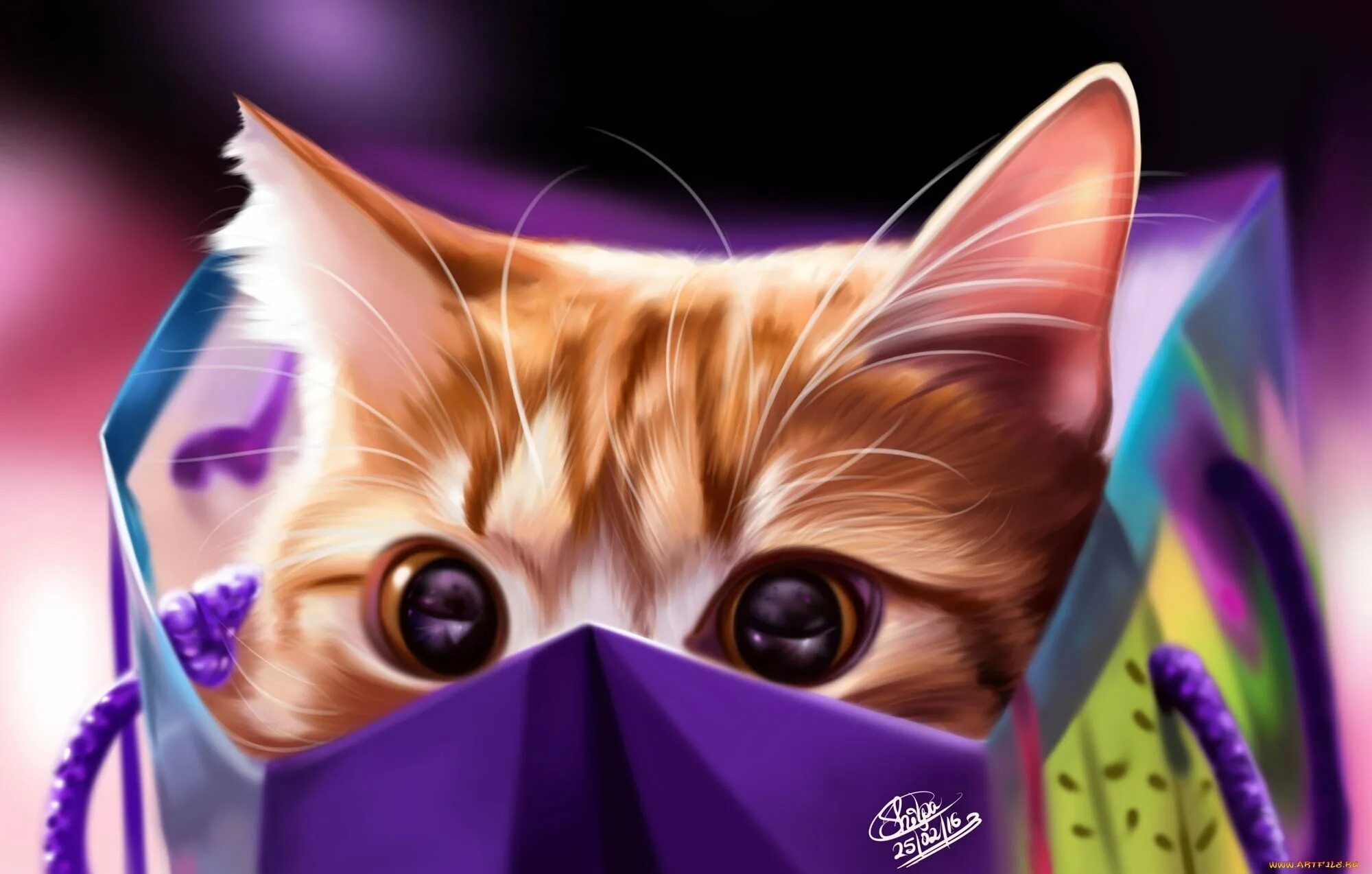 Крутые котики девочки. Крутые котики девочки
