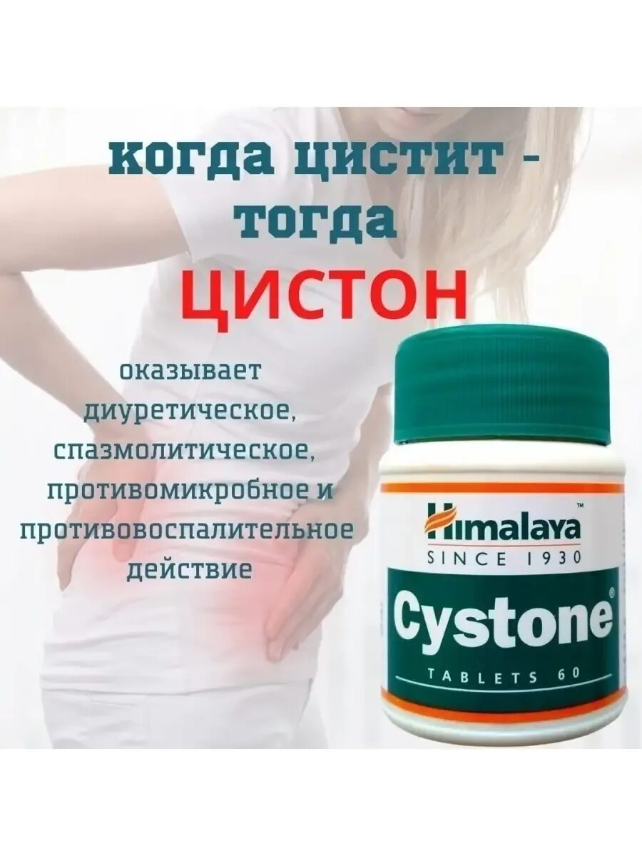 Можно ли пить цистон для профилактики. Гималая цистон. цистон himalaya. цистон хималая. цистон от цистита.