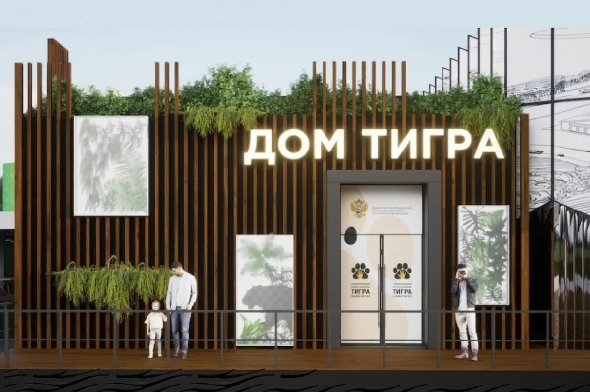 Центр амурский тигр. Дом тигра канал резервный. Дом тигра канал резервный. Жилье тигра. Дом тигра канал резервный.