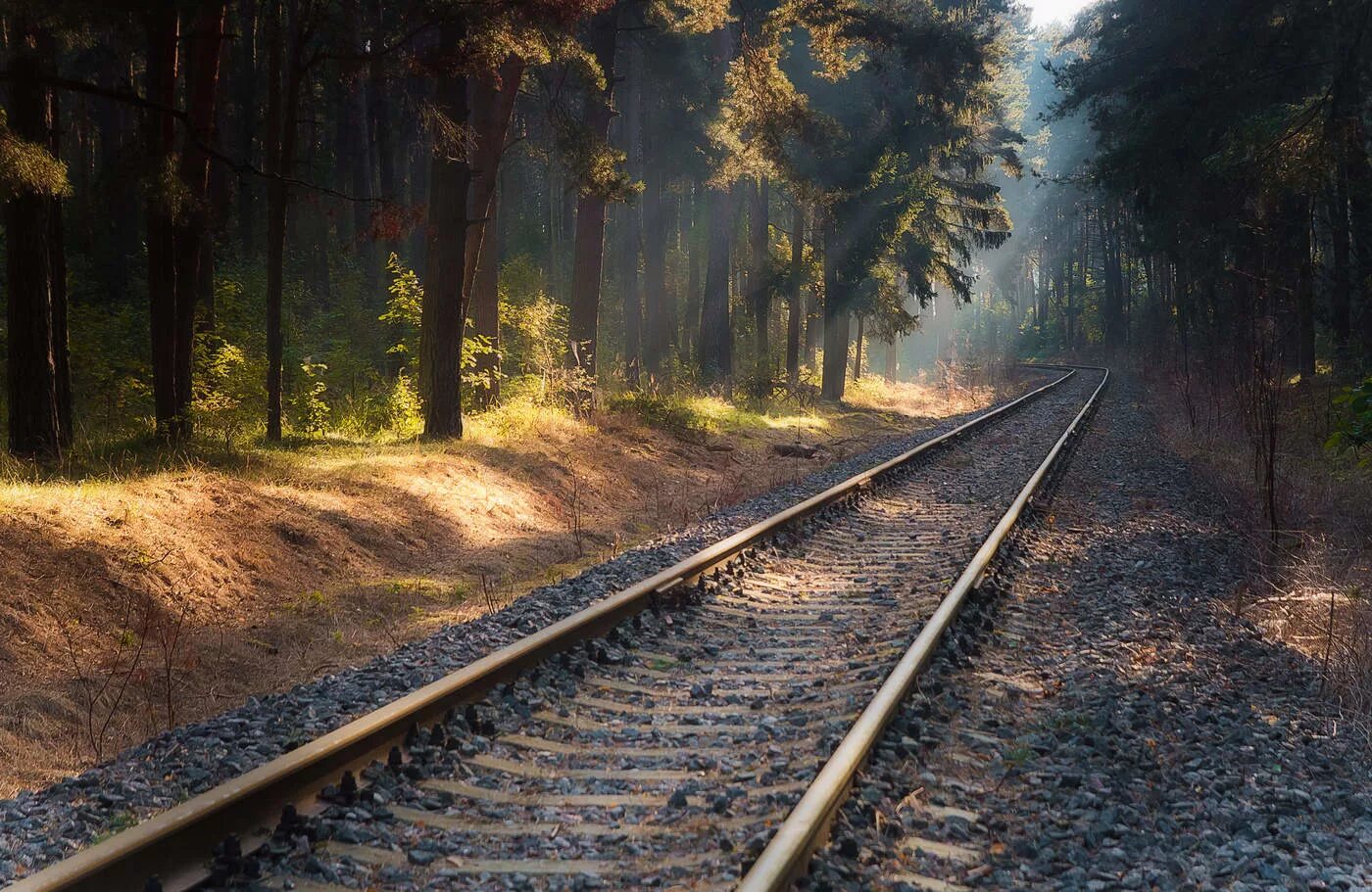 Железная дорога rail track 4110. Любытино железная дорога. Рельсы в лесу. Кбжд паровоз. Параллельная дорога.