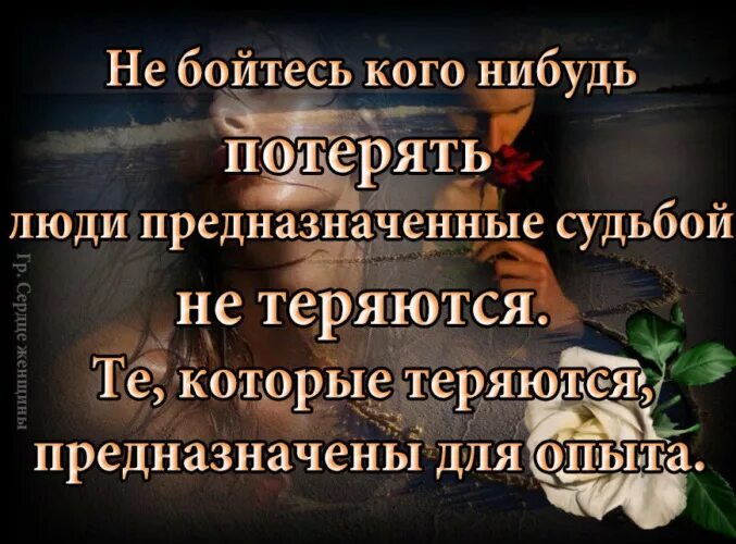 Сердце решает кого любить судьба решает с кем быть. Любовь стандартов не имеет она у каждого своя. Если человек предназначен тебе судьбой. Ты мне предназначена судьбой. Предначертанная судьба человека.