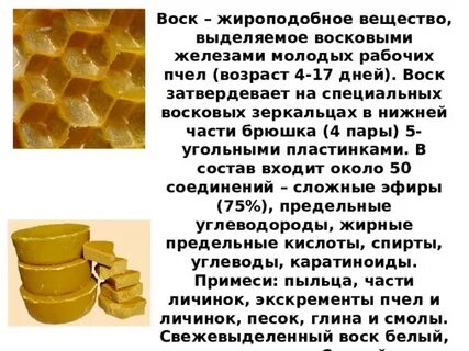 День воска