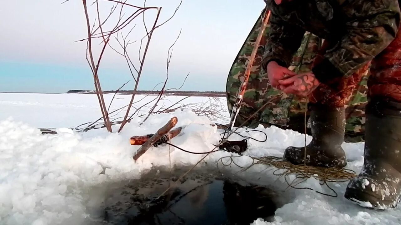 Перемет под лед. Перемет на налима. перемет рыболовный на налима. рыбалка на перемет. перемет рыболовный на щуку.