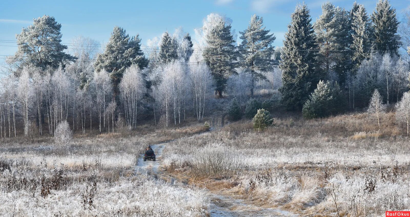 практика муниципалитета мичуринск "осень в парке". дикая природа россии. сибирь фото.