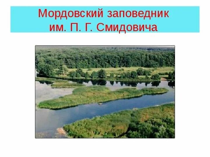 Богатства мордовии. Мордовский заповедник Смидовича. Мордовский заповедник Петра Гермогеновича Смидовича. Заповедник Смидовича Мордовия растения. Озеро Мордовский заповедник.