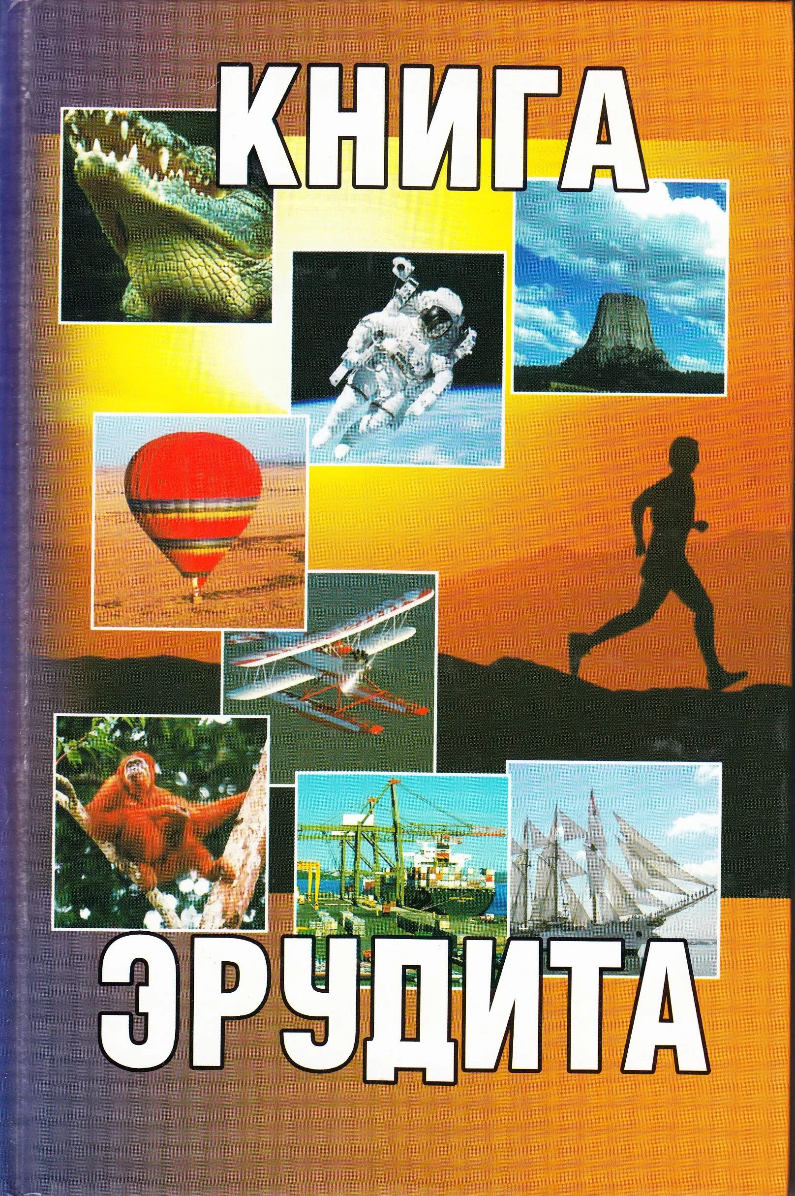 Книга энциклопедия живописи. Большая книга эрудита. Энциклопедия эрудита. Эрудит книги. Эрудит книга.
