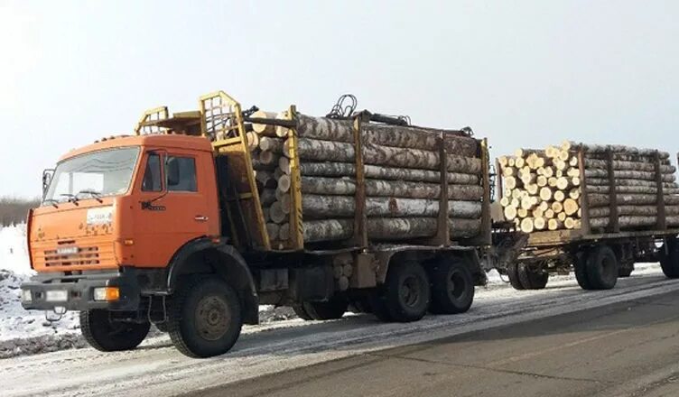 Лесовоз дров купить. Лесовоз с дровами КАМАЗ. КАМАЗ лесовоз 12 метров. КАМАЗ 53228 лесовоз с дровами. Дрова берёза в лесовозе КАМАЗ.