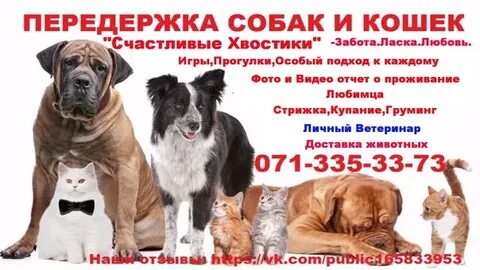 Платная передержка
