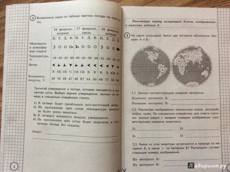 Впр волкова цитович ответы. ВПР 4 класс Волкова Цитович. ВПР 4 класс окружающий мир Волкова Данилова. ВПР окружающий мир 4 класс Волкова. ВПР окружающий мир 4 класс Волкова ответы.