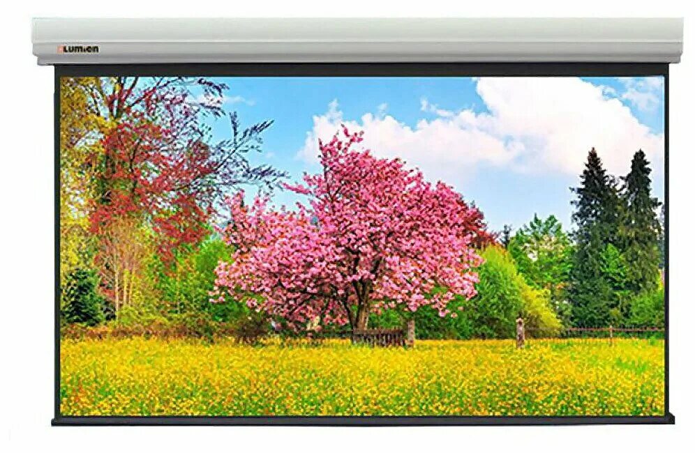 Master large control. Master large control. Master large control. Экран lumien lmlc-100105. Lumien cinema home 182x311.