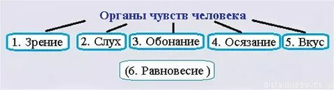 7 чувство это какое