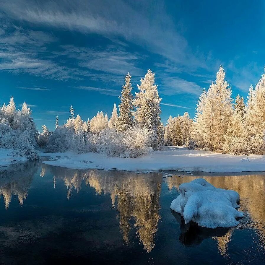 Зима началась. Красота зимней природы окружающий. Зима. Зимний пейзаж. Лучшая графика зимний пейзаж.