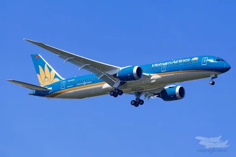 Vietnam airlines