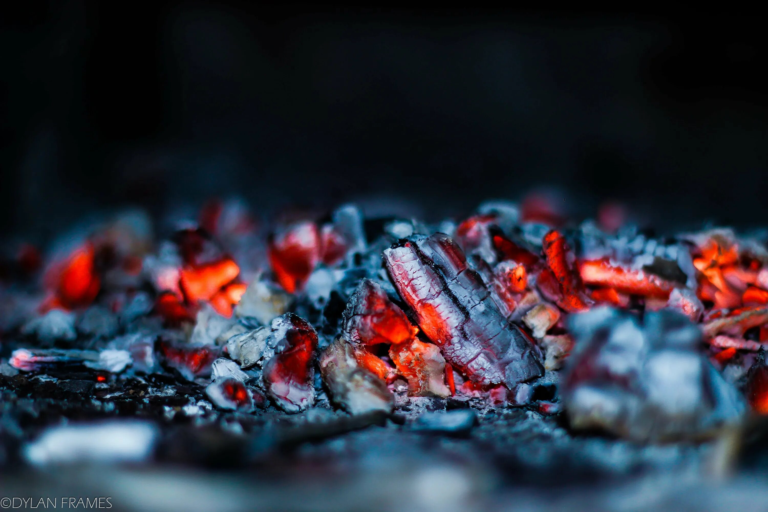 Swallow coals