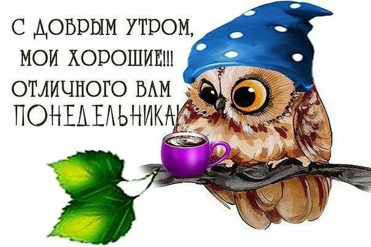 Смешные пожелания с добрым утром. Доброе утро смешные. Стикер хорошего дня. С утрой прикольные смешные. Доброе утро картинки прикольные.