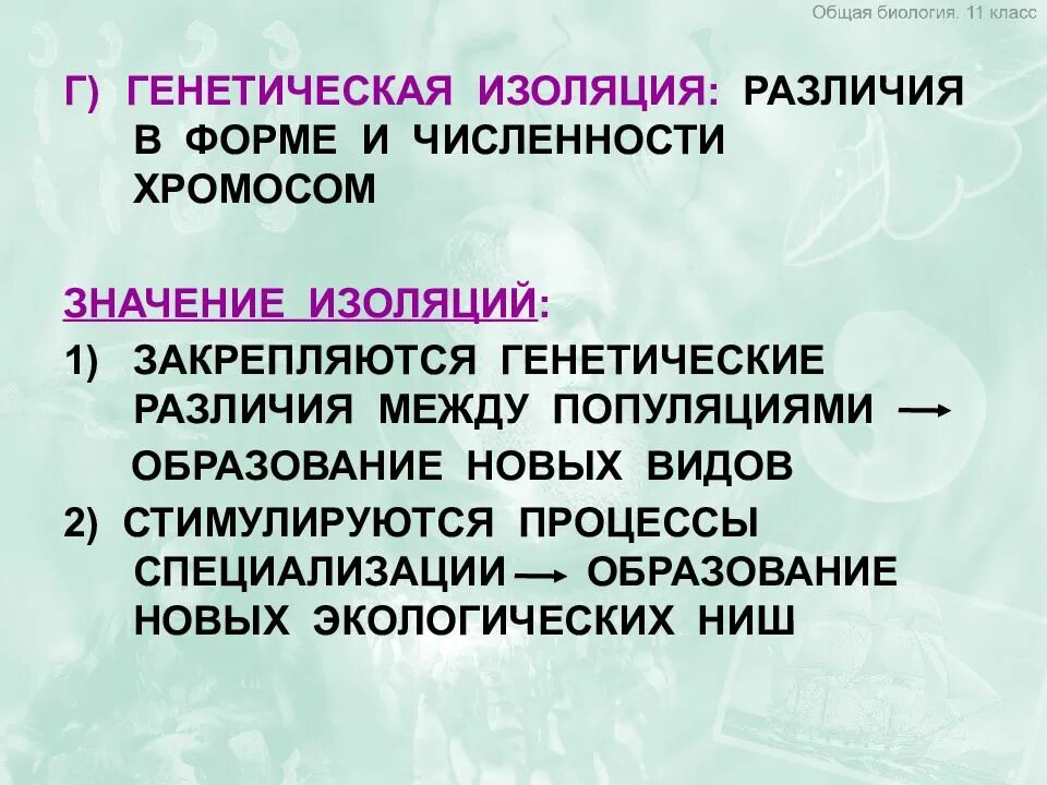 Генетическая изоляция. Изоляция в генетике. Генетическая биоизоляция. Генетические различия. Примеры изоляции в биологии