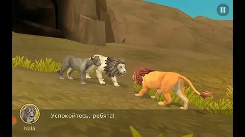 Колыбель тигра 17