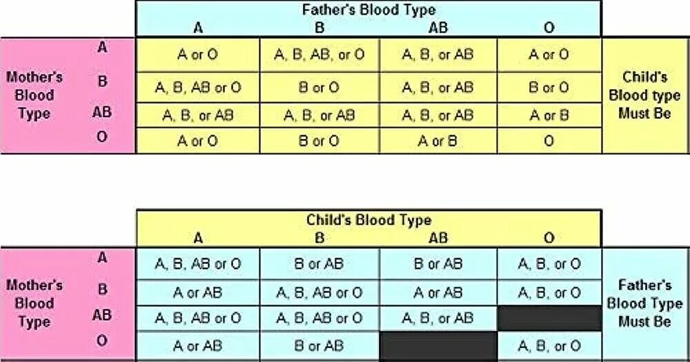 Калькулятор резус крови. Blood Type. Группы крови и резус-фактор таблица. Наследование групп крови и резус фактора. Blood Type Chart.