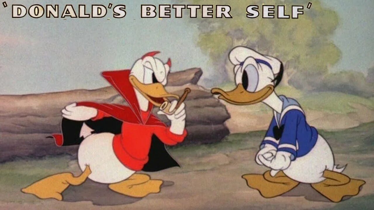 Real life donald duck. Elton john donald duck. Смешная утка фото. Real life donald duck. Donald duck 1934.