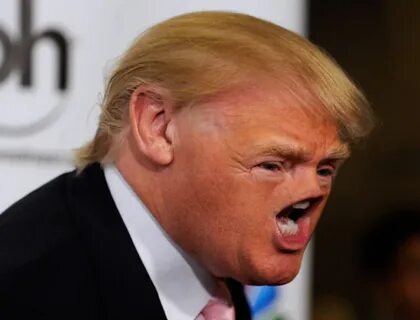 Trump meme