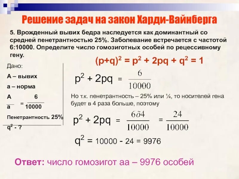 Задачи на закон Харди Вайнберга. Задачи на закон Харди-Вайнберга с решением. Задачи на Харди Вайнберга с решением. Решение задач на закон Харди-Вайнберга с решением.