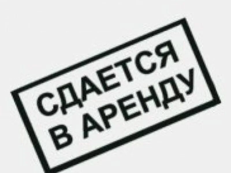 Табличка сдается в аренду. Сдается в аренду надпись. Сдается помещение в аренду. Аренда надпись. Сдам фирму в аренду