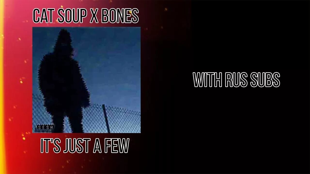 Just bones