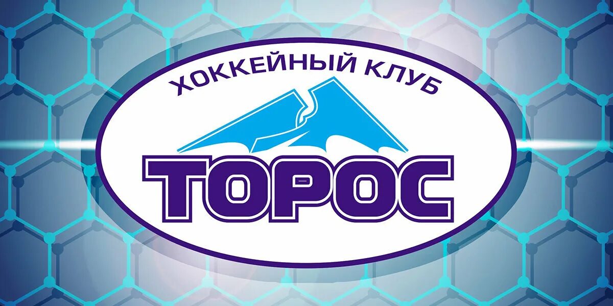 Торос хоккейный клуб эмблема. Магазин торос. Хоккейный клуб торос нефтекамск логотип. Хоккейный клуб торос нефтекамск логотип. Магазин торос.