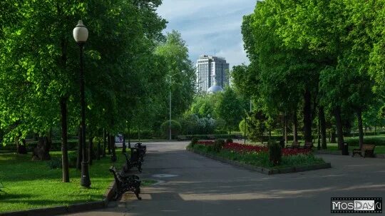 Якиманка парк. Ленинский проспект москва. Парки москвы ленинский проспект. Скейт парк на ленинском проспекте москва. Парк горького москва ленинский проспект.