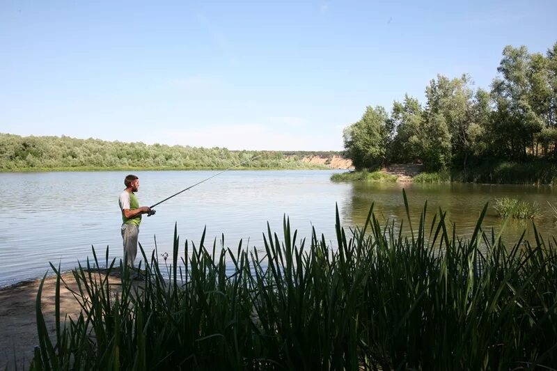 Вешенская станица Ростовская область рыбалка. Рыбалка на реке Дон в Ростовской области. Станица Вешенская рыбалка. Рыбалка в станице Вешенской. Ловля в ростове