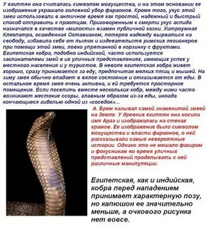 Где обитает кобра